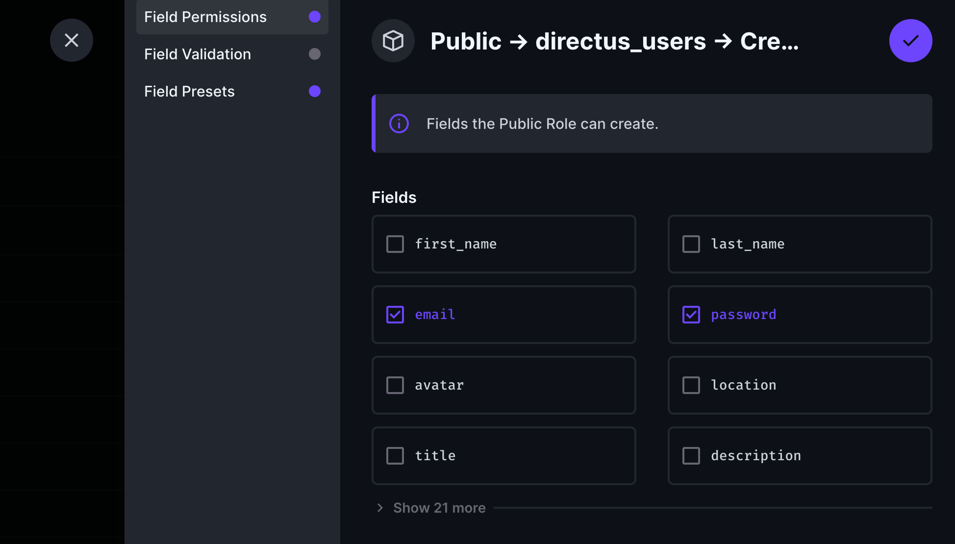 Public role directus_users create field permissions only allow Email and Password