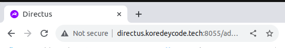 Directus application accessed by the domain at port 8055. The browser marks the page as Not Secure.